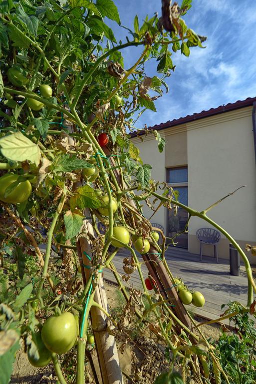 Resort Il Gallo Senone Senigallia Quarto foto